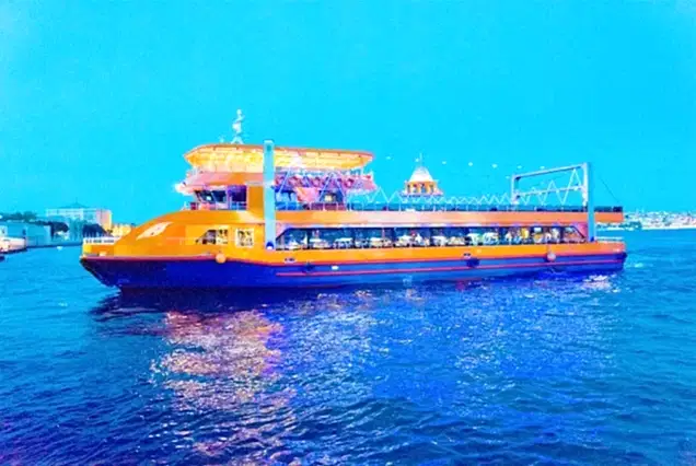 Bosphorus Dinner Cruise