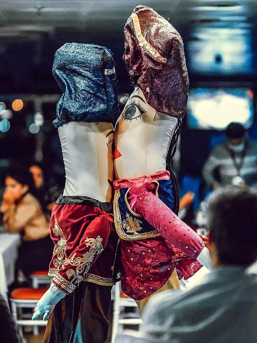 Bosphorus Dinner Cruise